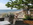 Moriani_restaurant bord de mer
